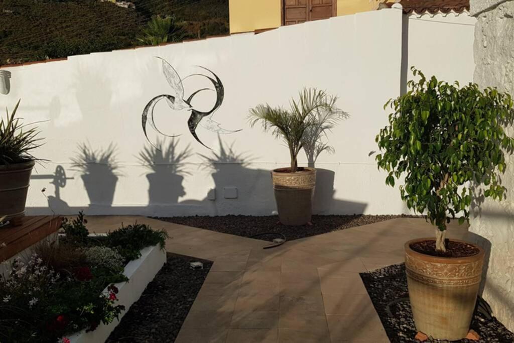 Casa Vina: A Spectacular Away From It All Holiday لا أوروتافا المظهر الخارجي الصورة