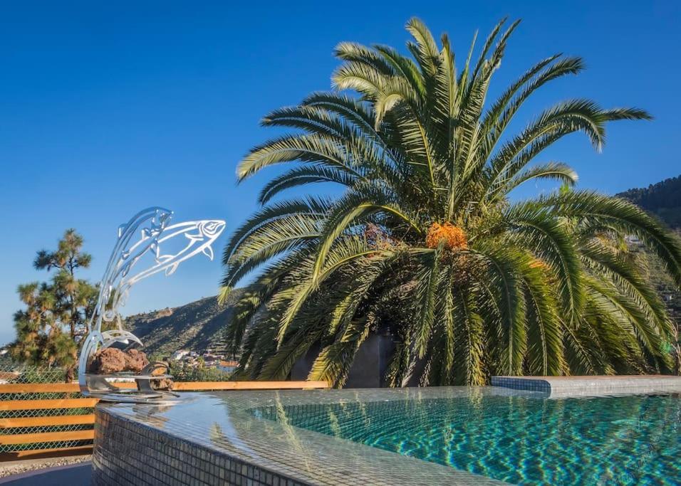 Casa Vina: A Spectacular Away From It All Holiday لا أوروتافا المظهر الخارجي الصورة