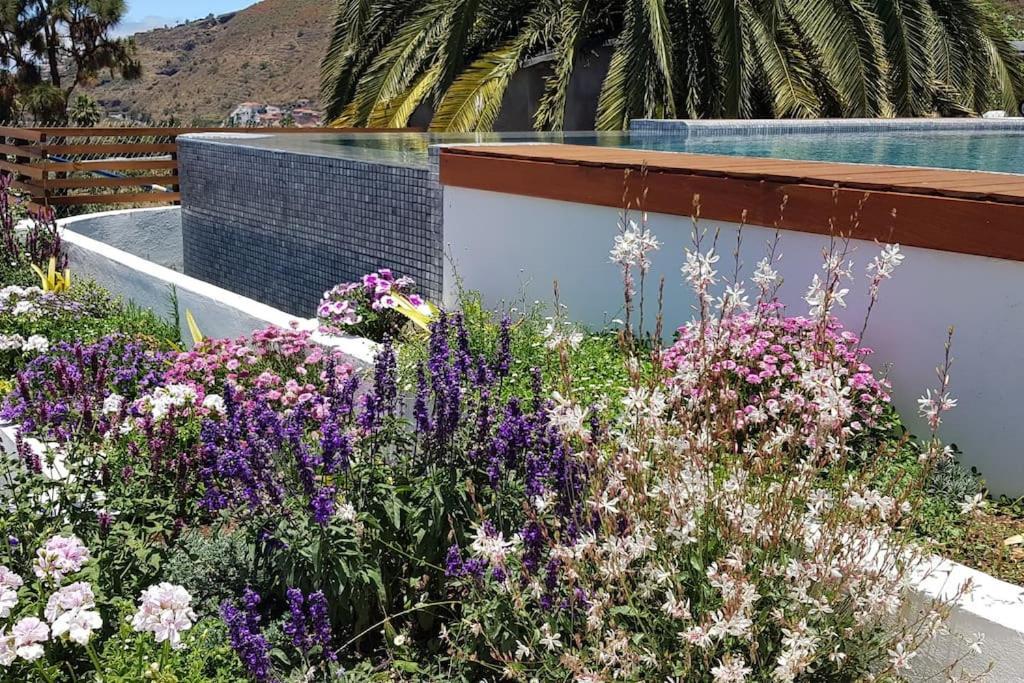 Casa Vina: A Spectacular Away From It All Holiday لا أوروتافا المظهر الخارجي الصورة