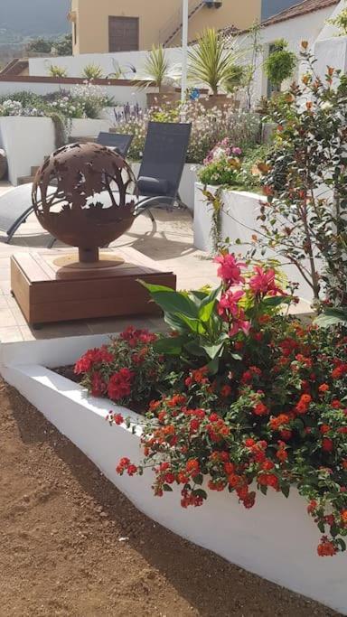 Casa Vina: A Spectacular Away From It All Holiday لا أوروتافا المظهر الخارجي الصورة